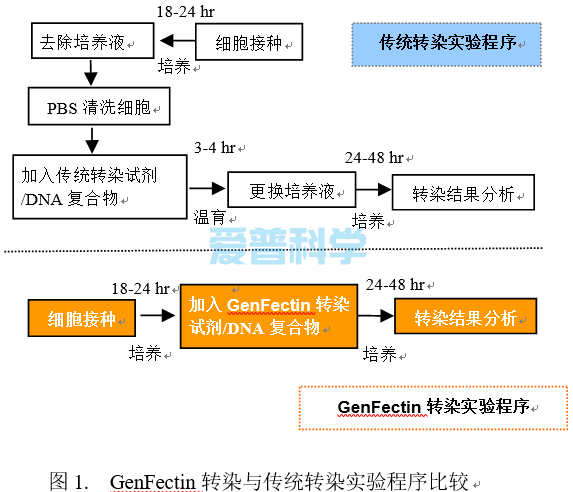 GenFectin 基因转染试剂(可做250次6孔板或35mm平皿转染)(图1)