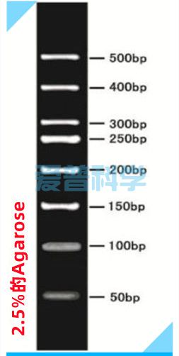 50bp DNA Ladder marker(50,100,150,200,250,300,400,500bp)(图1)