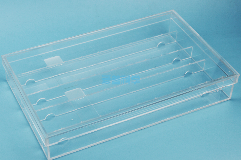免疫组化湿盒,透明,小号,10片装,有机玻璃(图3)