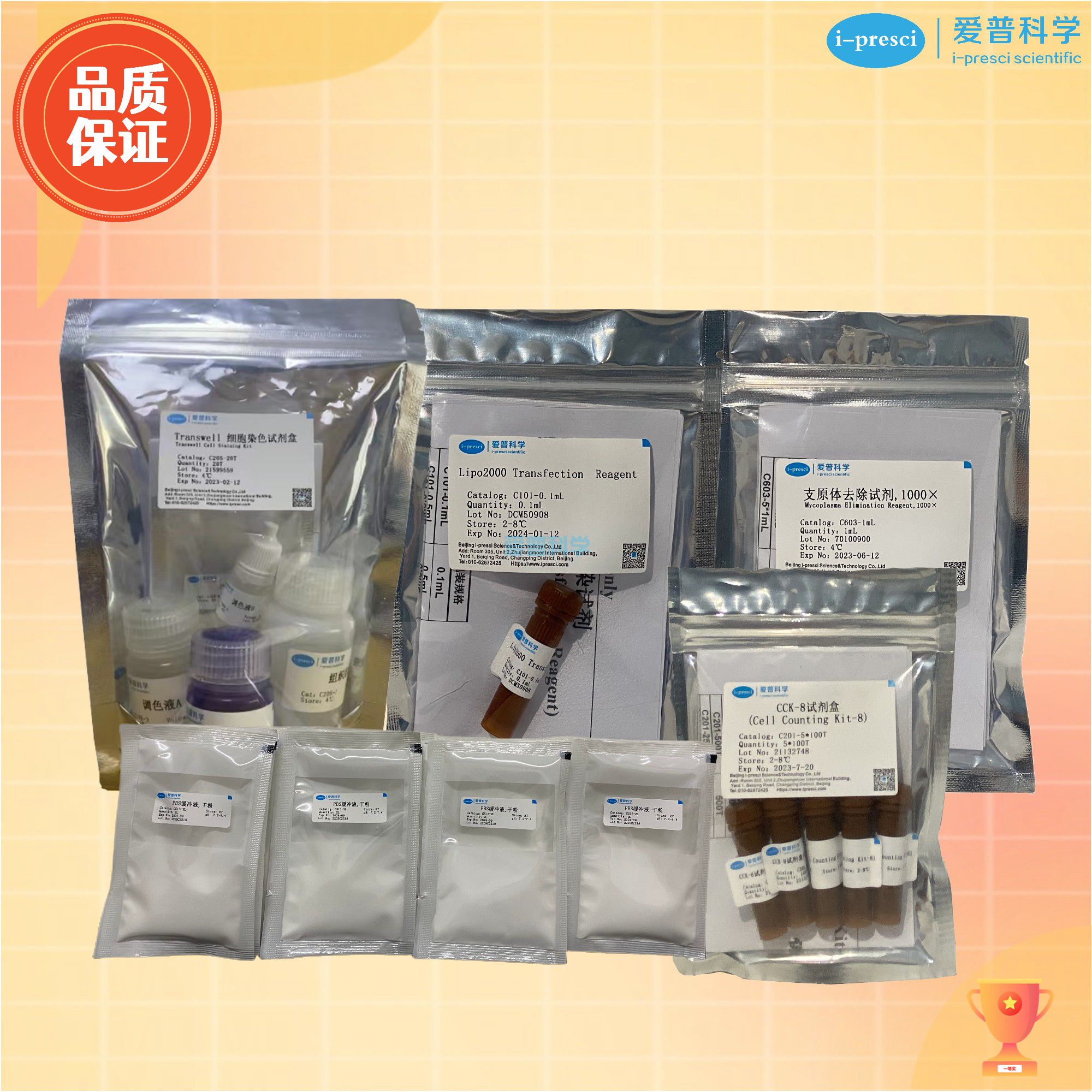 CCK-8细胞增殖/毒性检测试剂盒/Cell Counting Kit-8(CCK-8)