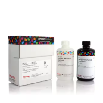 Pierce 蛋白酶抑制剂片剂,无 EDTA