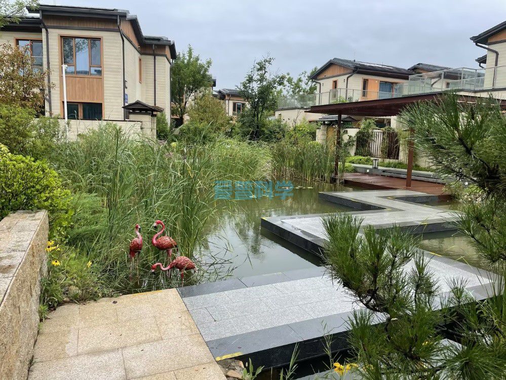 2023年爱普科学秦皇岛团建拓展活动来啦~(图4)