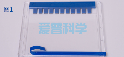 AipGel 变性蛋白预制胶,Bis-Tris,8%,12孔(图1) AipGel 变性蛋白预制胶,Bis-Tris,8%,12孔(图1)