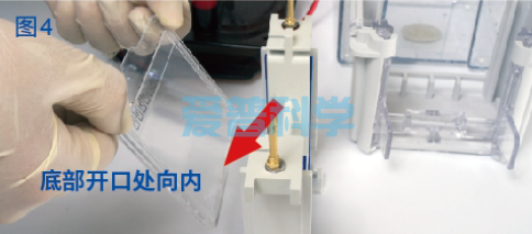 AipGel 变性蛋白预制胶,Bis-Tris,8%,12孔(图5) AipGel 变性蛋白预制胶,Bis-Tris,8%,12孔(图5)