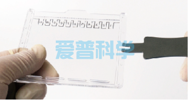 AipGel 变性蛋白预制胶,Bis-Tris,8%,12孔(图8) AipGel 变性蛋白预制胶,Bis-Tris,8%,12孔(图8)