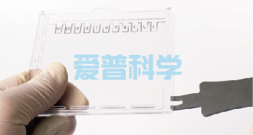 AipGel 变性蛋白预制胶,Bis-Tris,8%,12孔(图9) AipGel 变性蛋白预制胶,Bis-Tris,8%,12孔(图9)