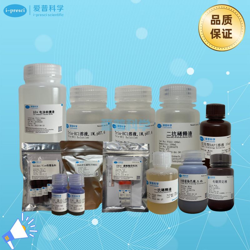 一抗稀释液(无蛋白)/Primary Antibody Dilution Buffer(Protein-free)