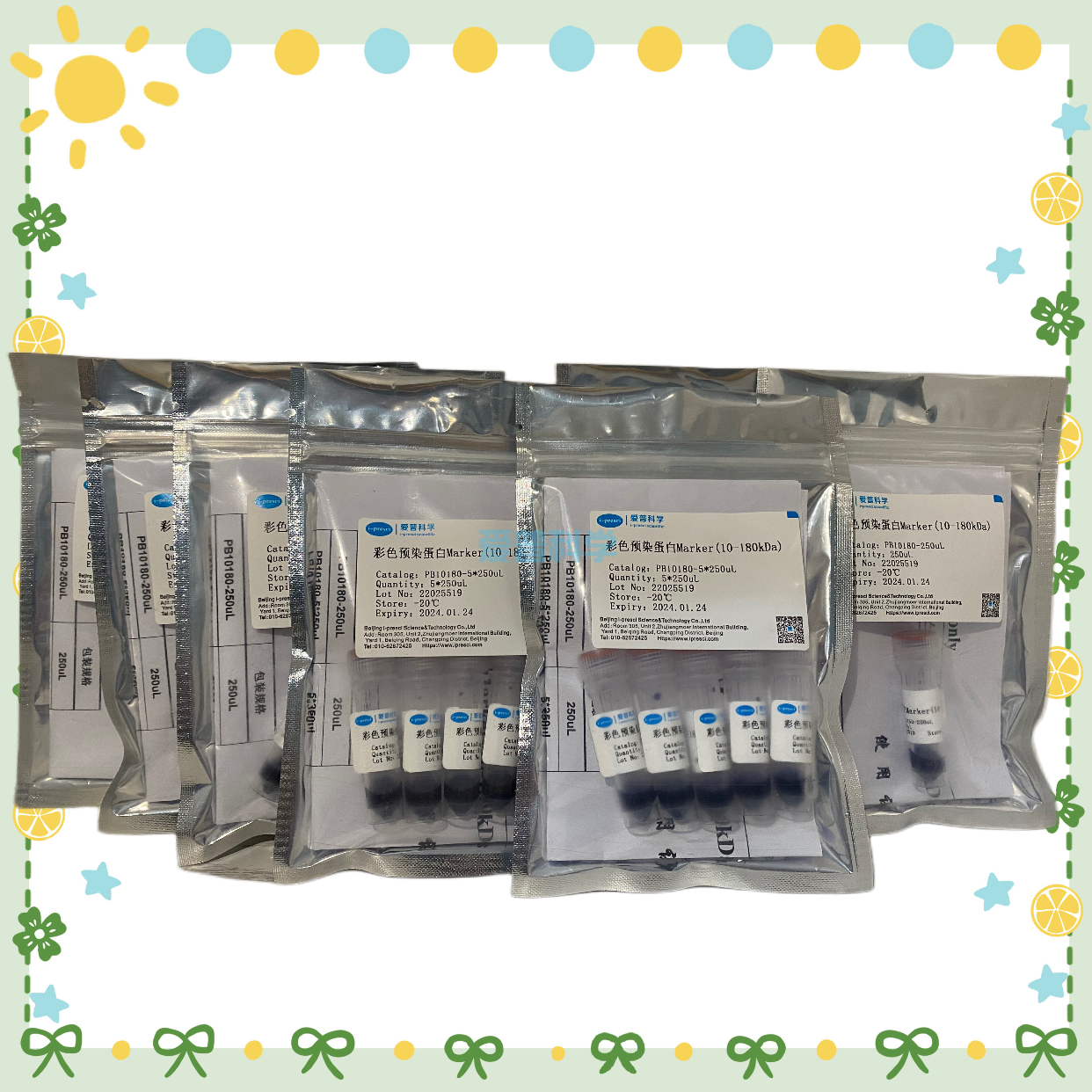 彩色预染蛋白Marker(10-180kDa)/Thermo同款