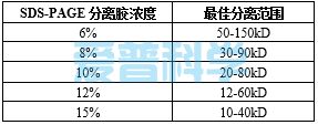 AipGel SDS-PAGE彩色快速制胶试剂盒(8%)(图1)