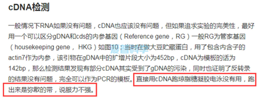 详谈cDNA质量好坏不能通过跑电泳或者测OD值来判断~(图4)