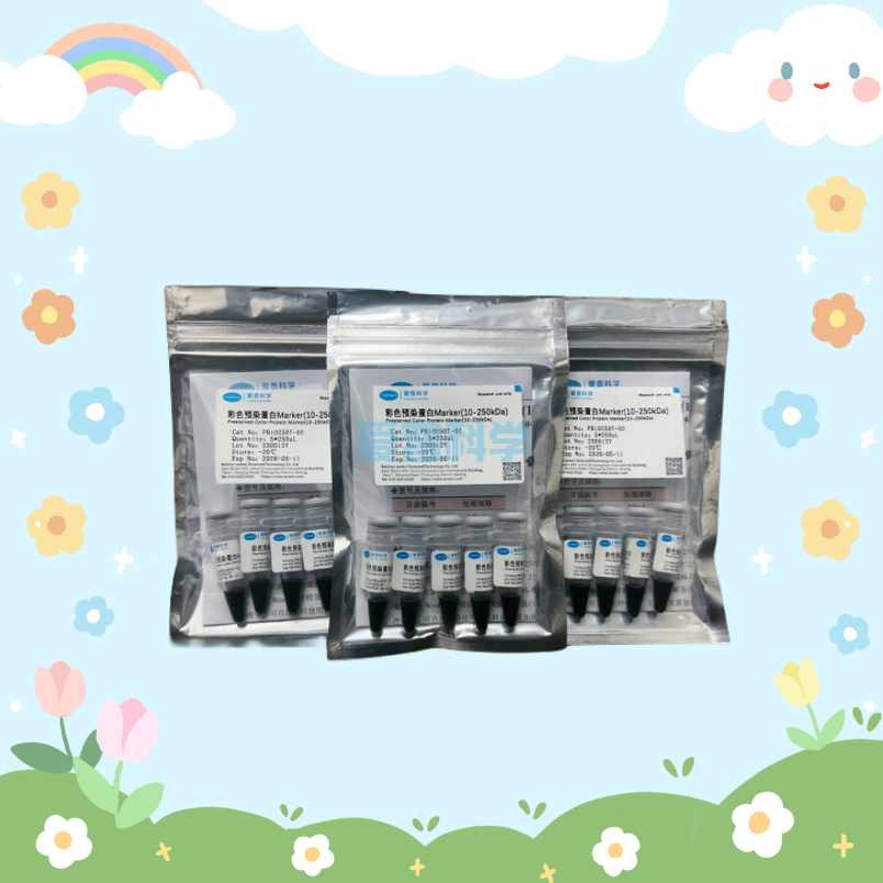 彩色预染蛋白Marker(10-250kDa)/Thermo同款