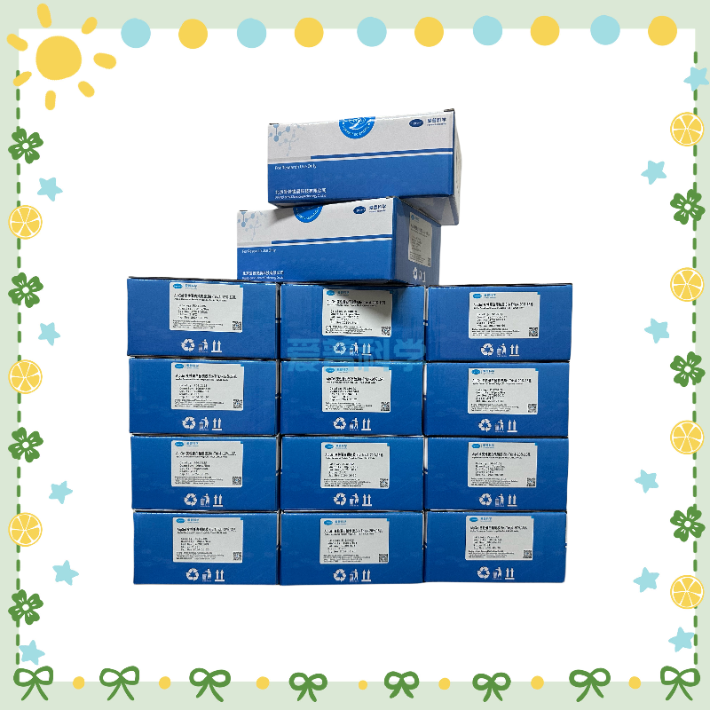 AipGel 变性蛋白预制胶,Bis-Tris,8％,10孔