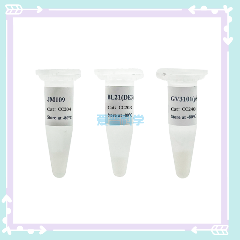 AipCell Y187 Competent Cell