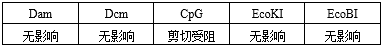FastCut AscI 快速限制性内切酶(图6) FastCut AscI 快速限制性内切酶(图6)