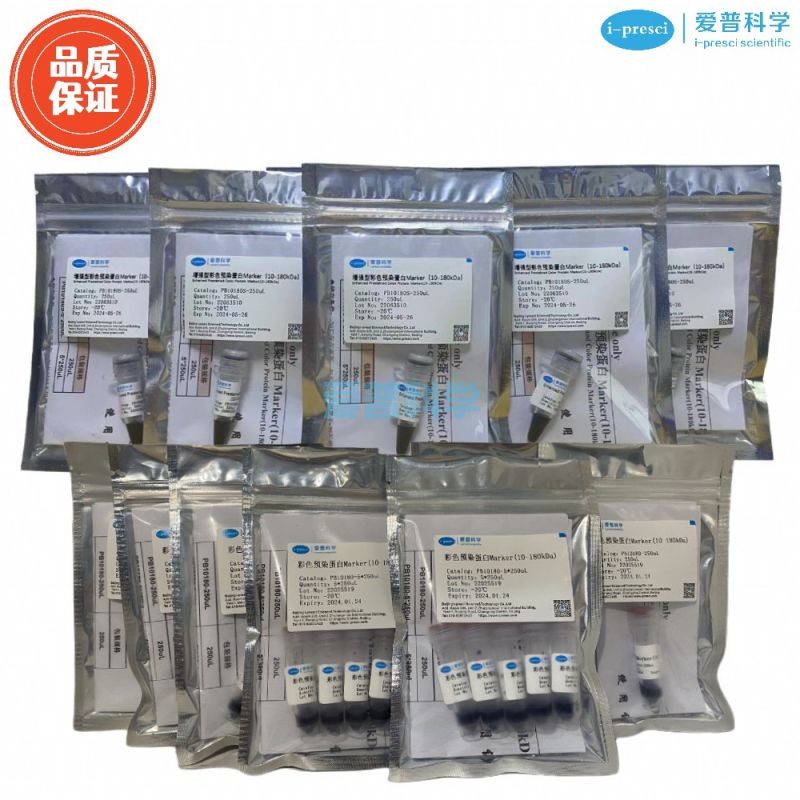 彩色预染蛋白Marker(25-300kDa)