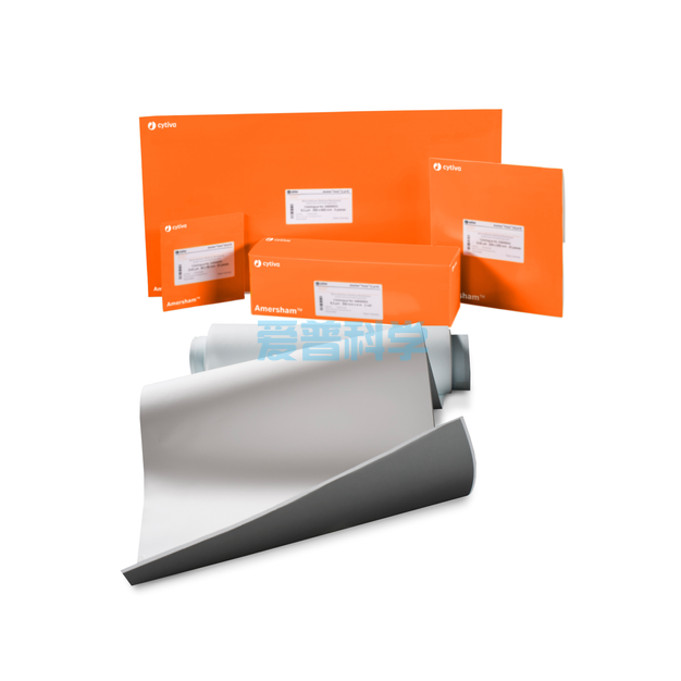 硝酸纤维素膜(NC膜),0.22um,15cm*20cm