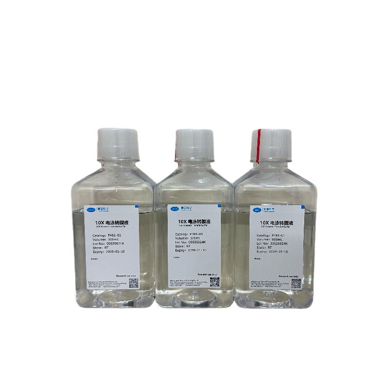 10× 电泳转膜液/10× Western Transfer Buffer