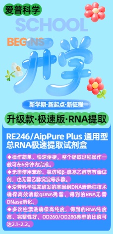 爱普科学-RE246极速提取盒